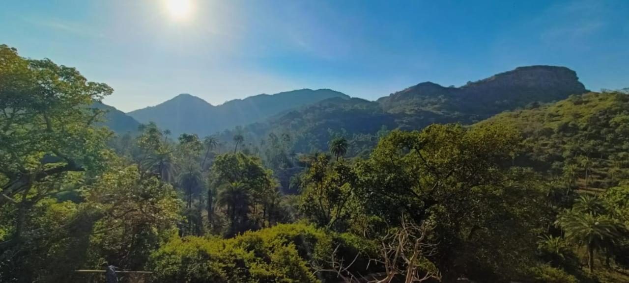 Valley Nest For 6-12 Pax 아부 산 외부 사진